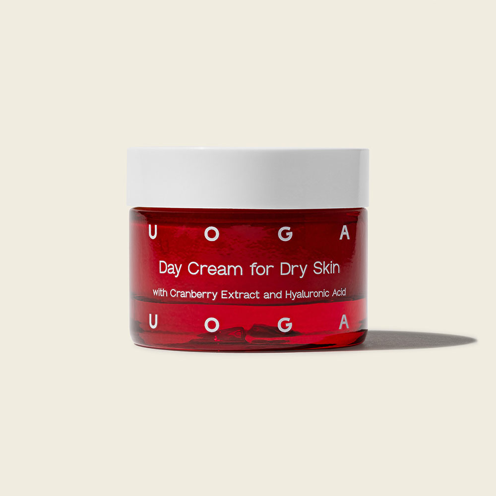 Day cream for dry skin