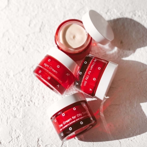 Day cream for oily skin