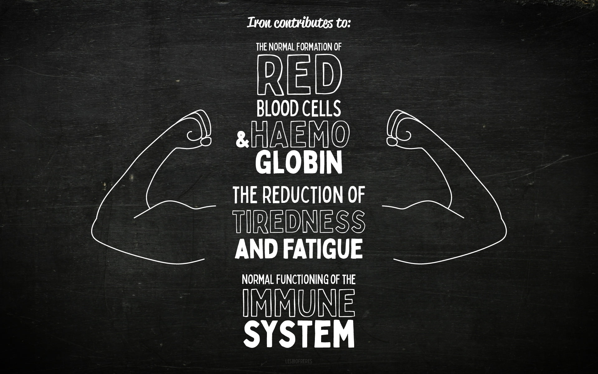 Brad’Fer – Comprimés à avaler – Fer