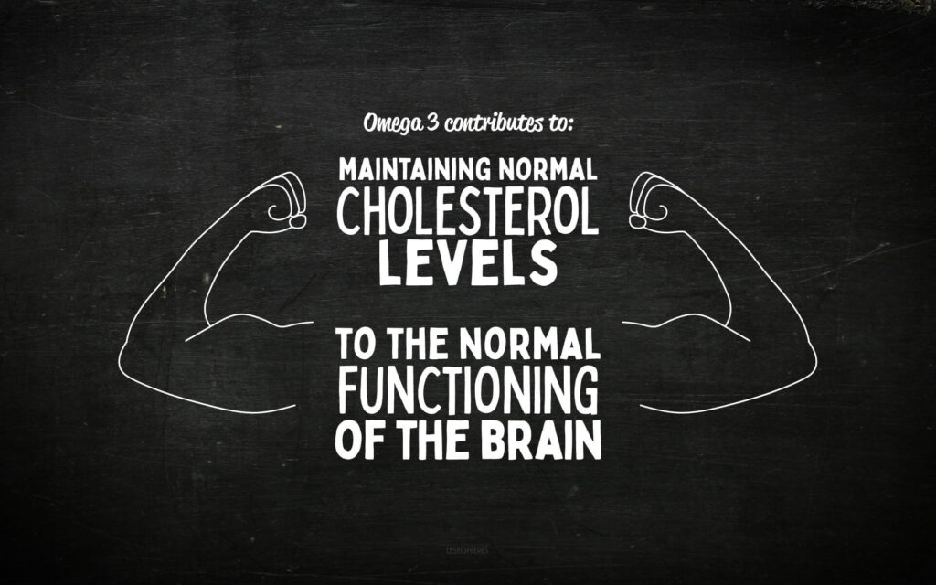 OMG 3 – gélules à avaler – Oméga 3