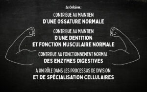Khalcium – Comprimés à avaler– Calcium
