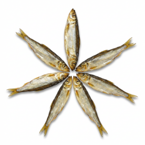 Fish Sprats